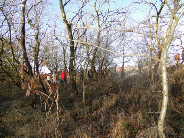 NWK 2010 211.jpg